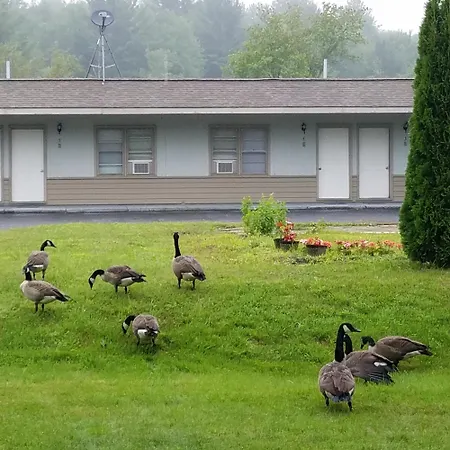 The Becket Motel